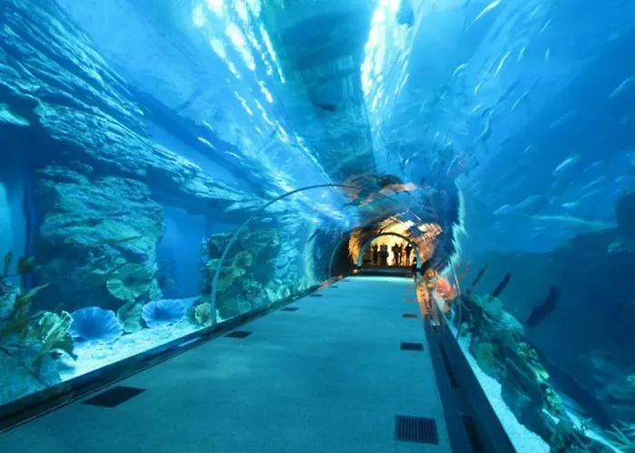 Bologna 3* ريميني